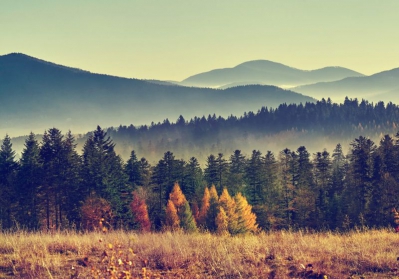 W krainie świerków i górali: Istebna, Jaworzynka, Koniaków