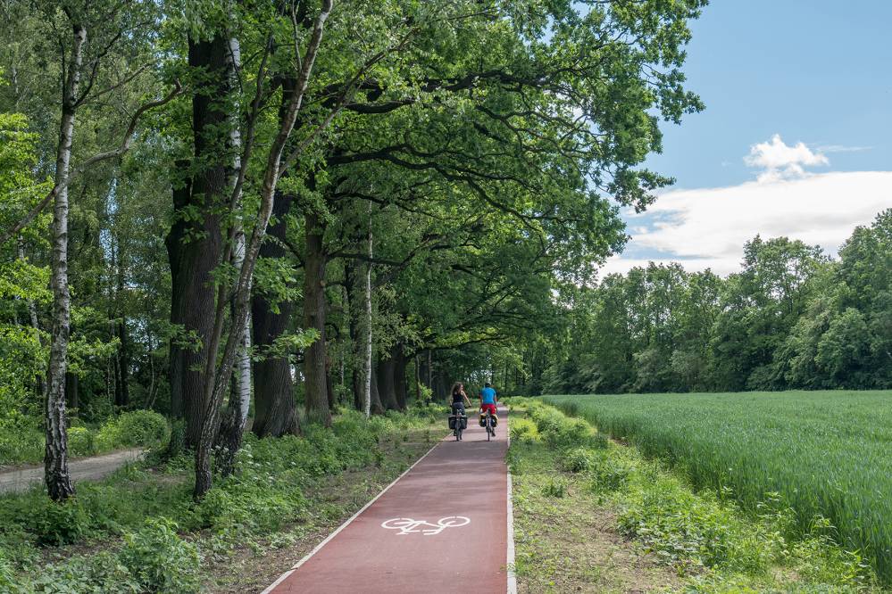 Czerwony szlak rowerowy Pszczyna - Jezioro Paprocany