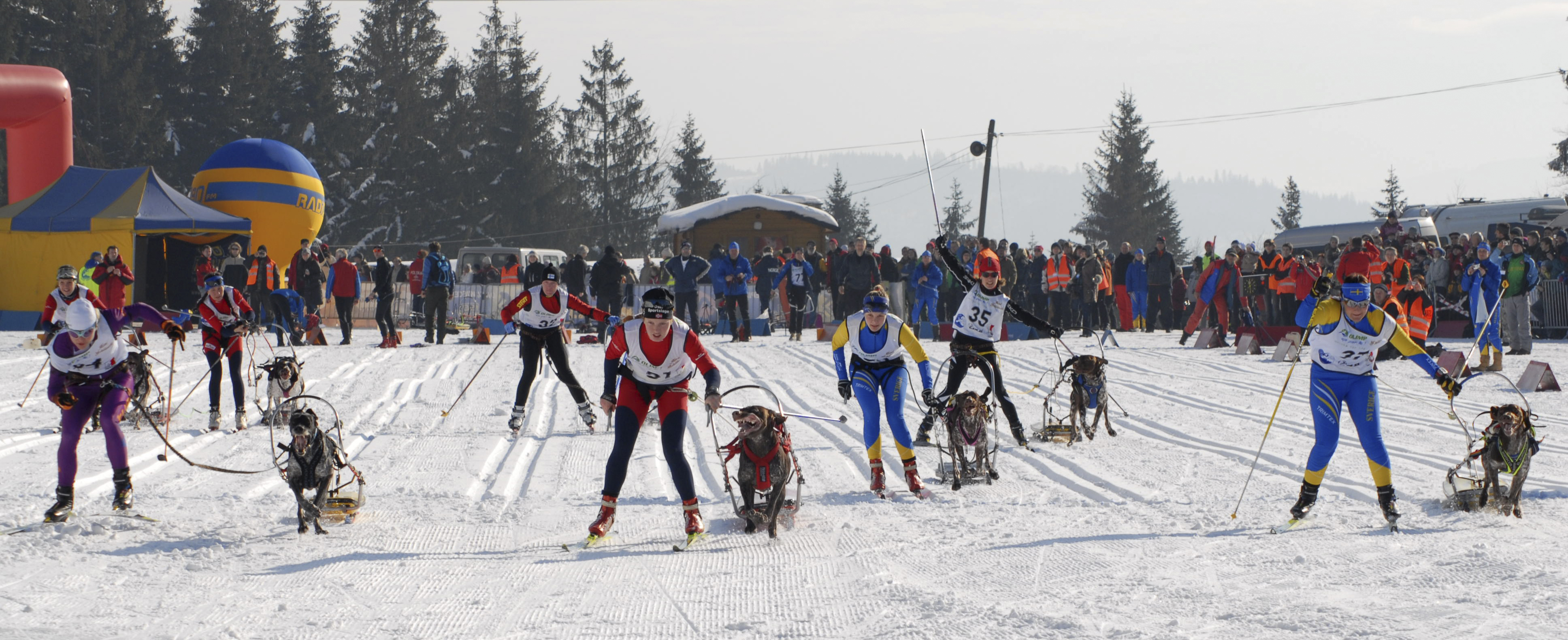 Janusz Szczotka - Zawody_psich_zaprzegow_w_Istebnej_Kubalonce_1