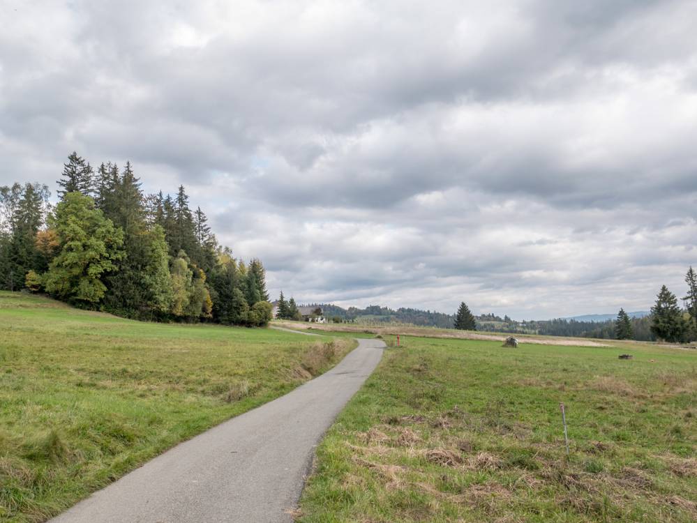 Zielony szlak rowerowy Kamesznica - Laliki