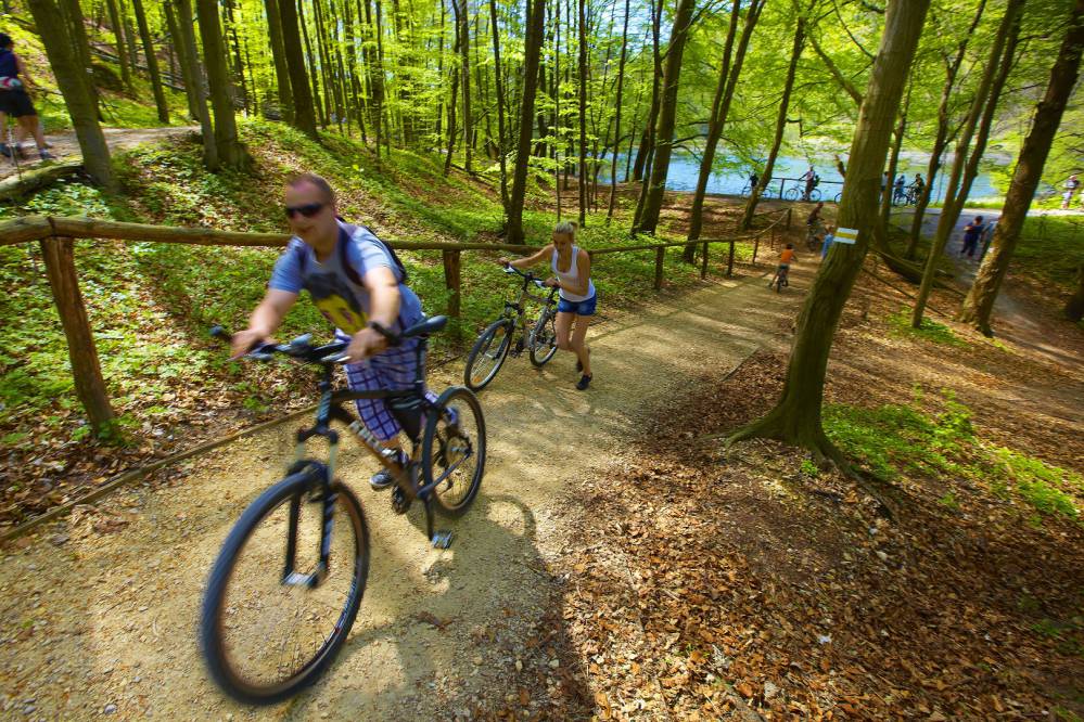 Gdzie na rower w Śląskim?